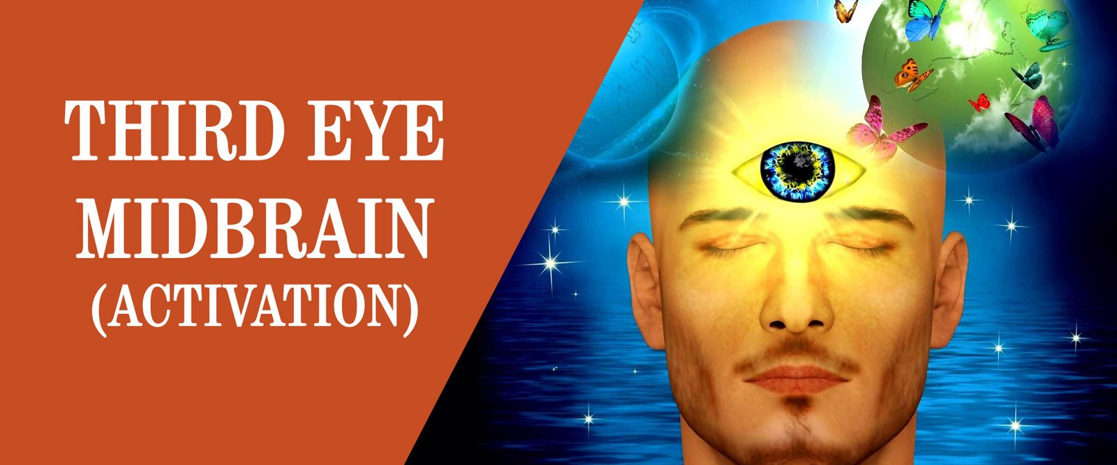 missiongeniusmind